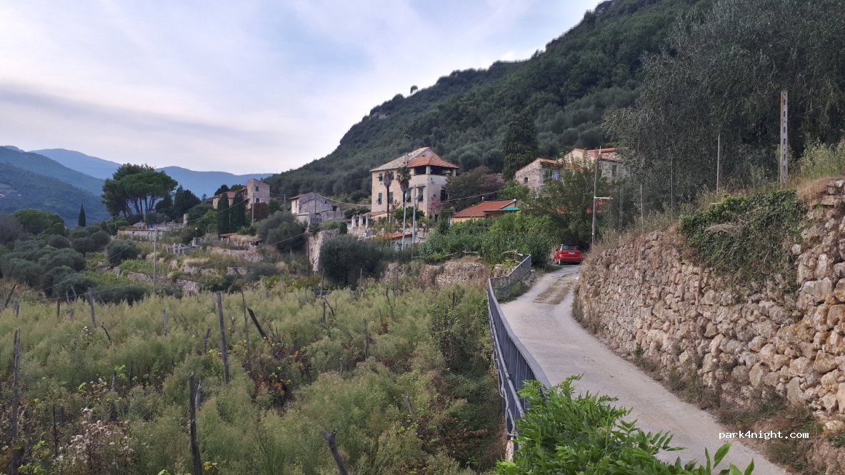 Il Pernambucco della Contessa — foto 2