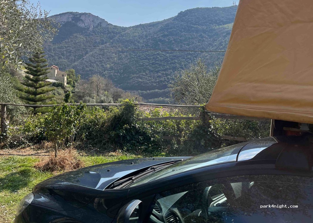 Il Pernambucco della Contessa — foto 3