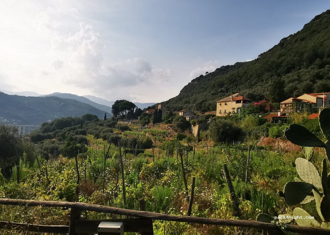 Il Pernambucco della Contessa — foto 4