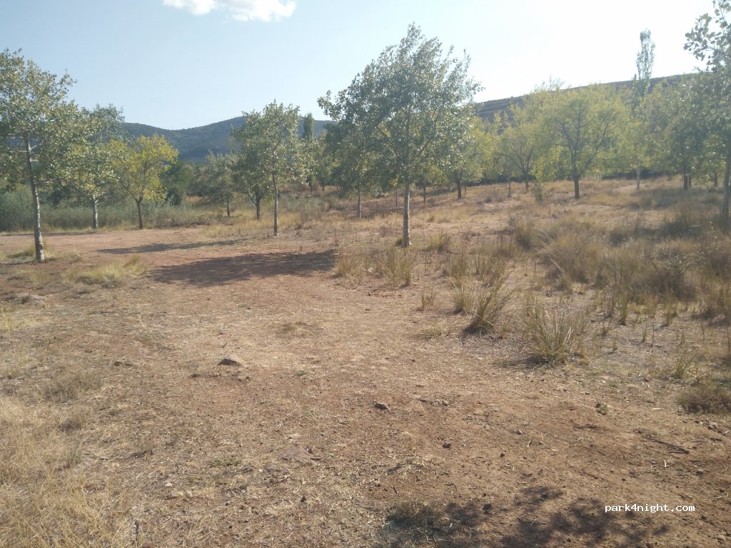 (50259) Aranda de Moncayo - Unnamed Road — foto 4