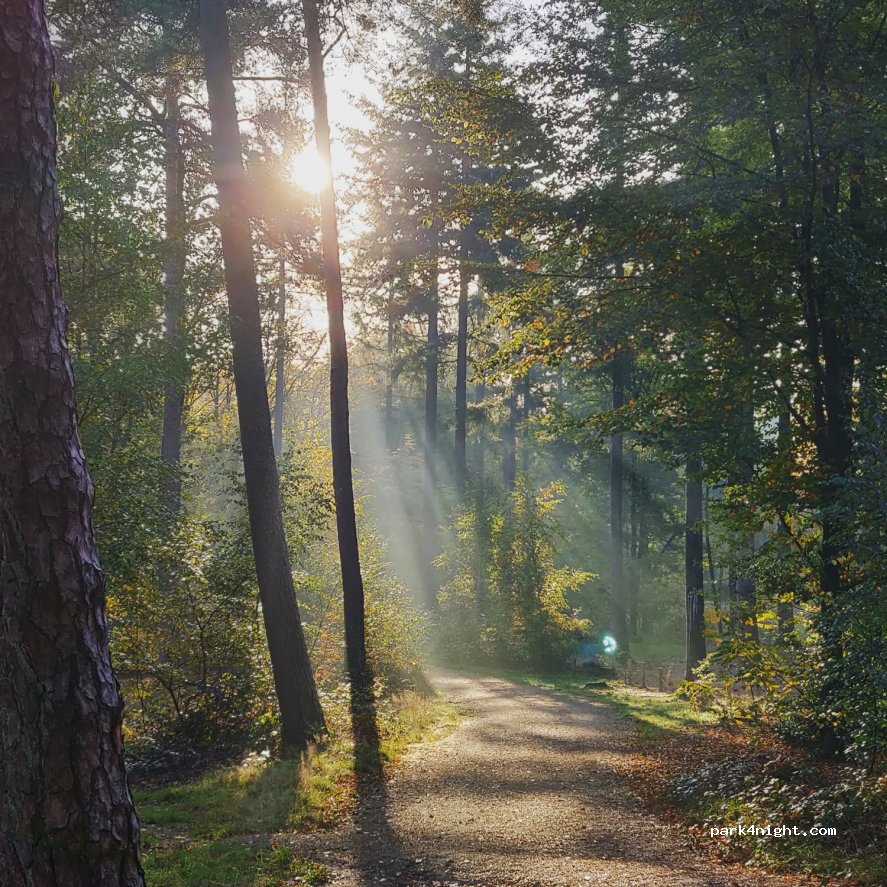 Natuurkampeerterrein Groesbeek — foto