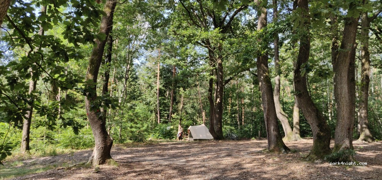 Natuurkampeerterrein Groesbeek — foto 2