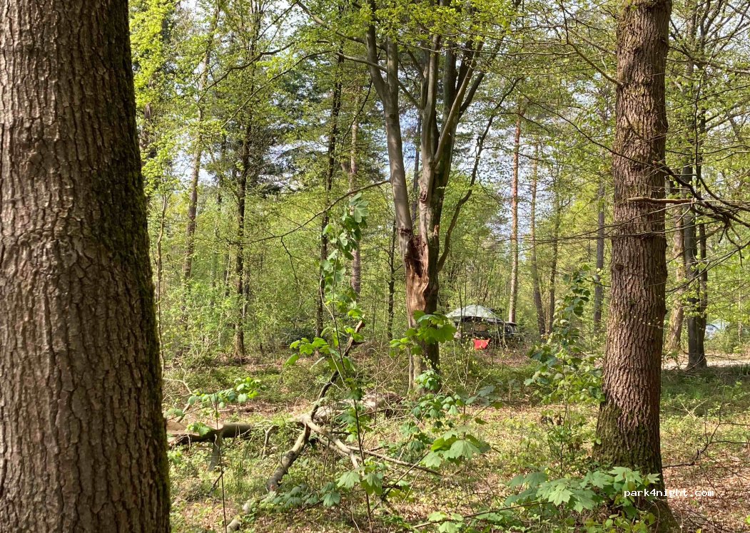 Natuurkampeerterrein Groesbeek — foto 3