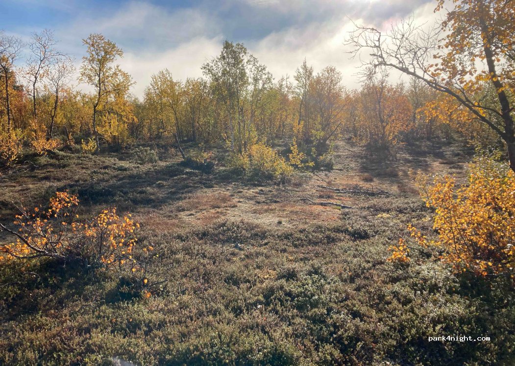(980 14) Ovre Soppero - Unnamed Road — foto 3