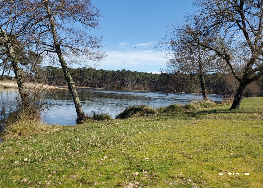 (47700) Casteljaloux - 6847 Route de Mont de Marsan — foto 5