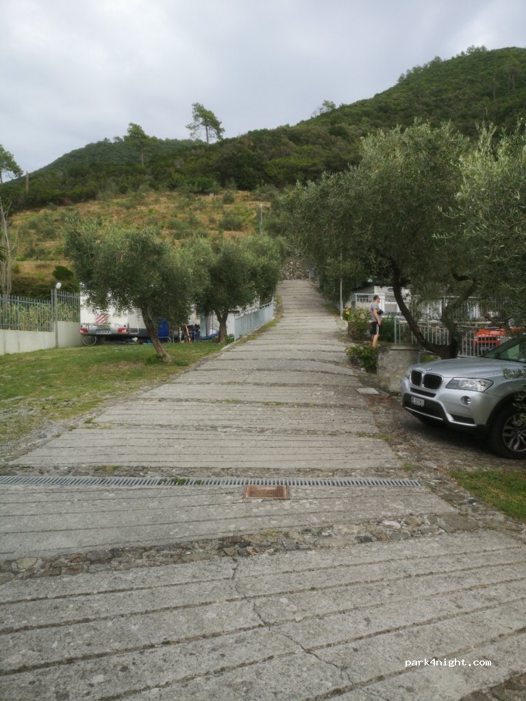 Camping of Olives — foto 2