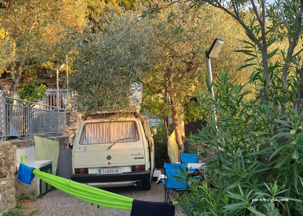 Camping of Olives — foto 3