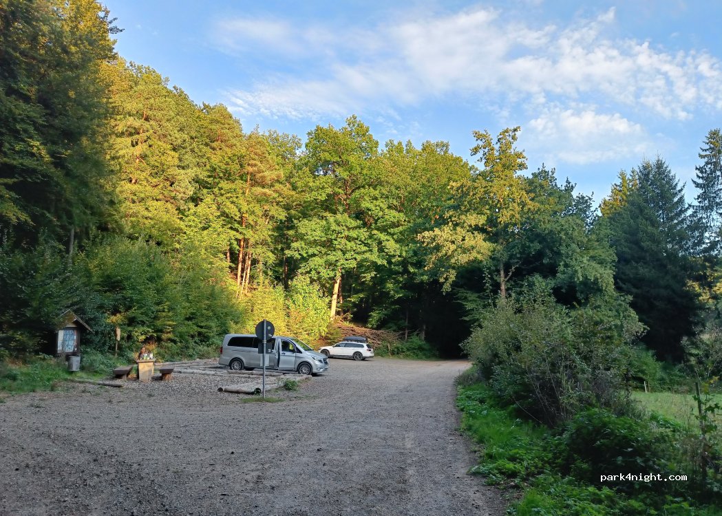 (67305) Ramsen - Unnamed Road — foto 5
