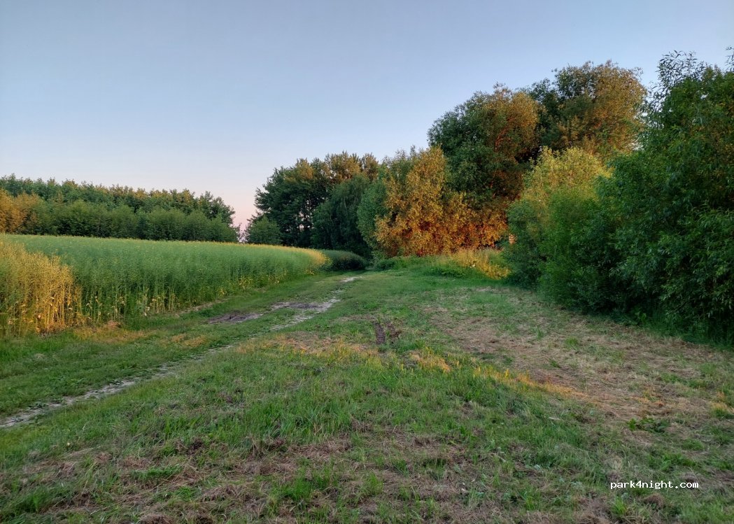 (592 31) Nové Město na Moravě - Unnamed Road — foto 2