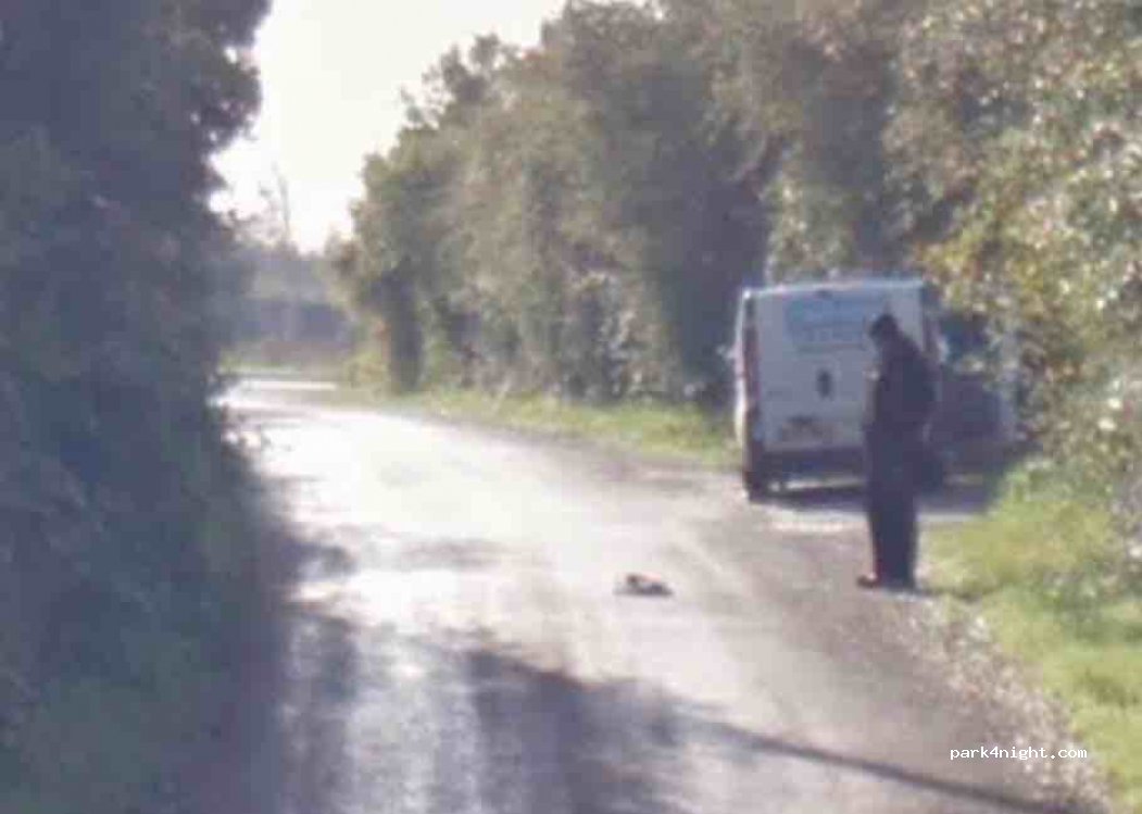 (CM13 3LX) Horndon on the Hill - Brentwood Road — foto