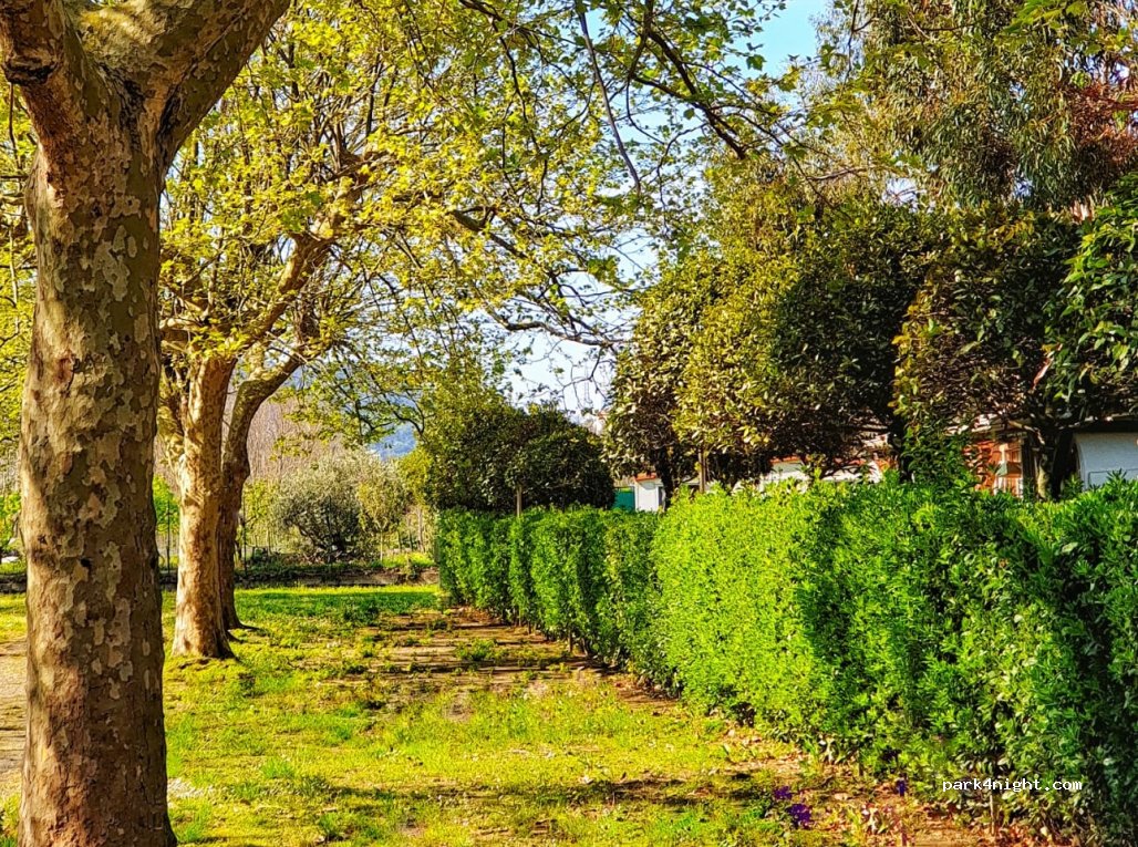 Santa Vittoria Camping — foto 2
