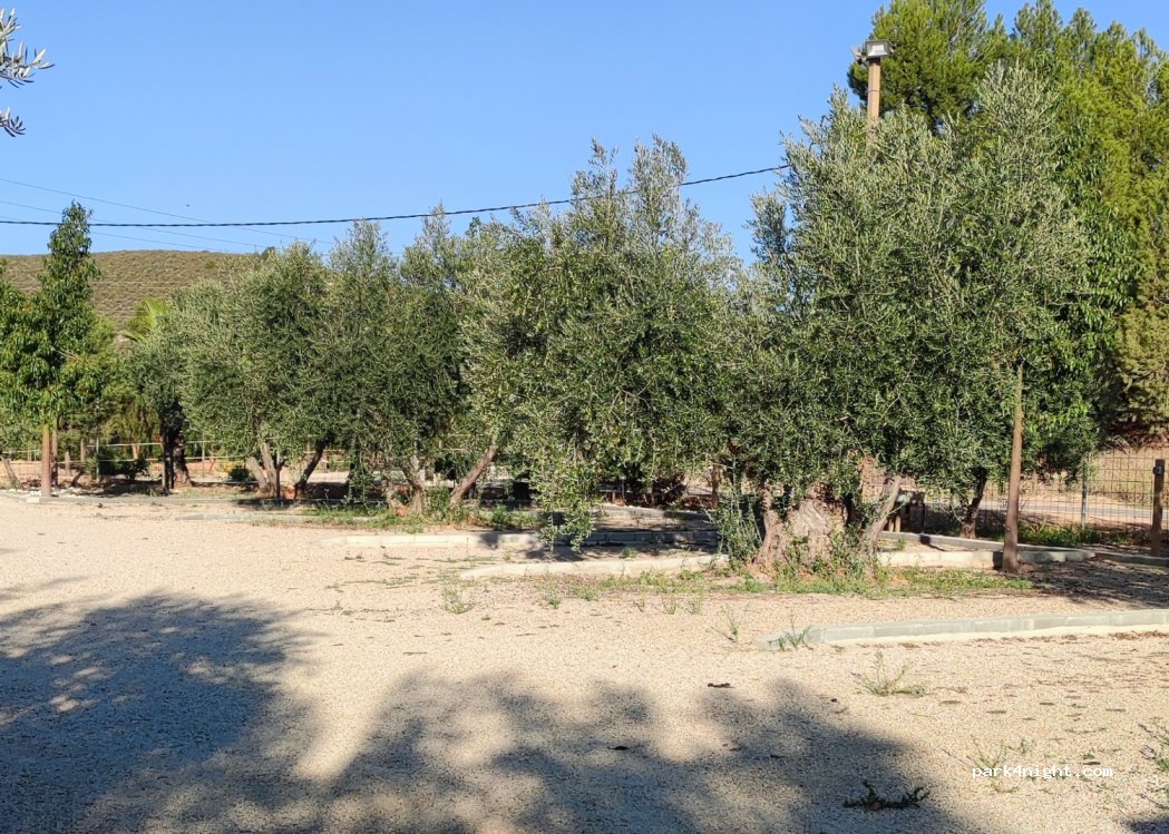Complejo Rural La Tejera — foto 4