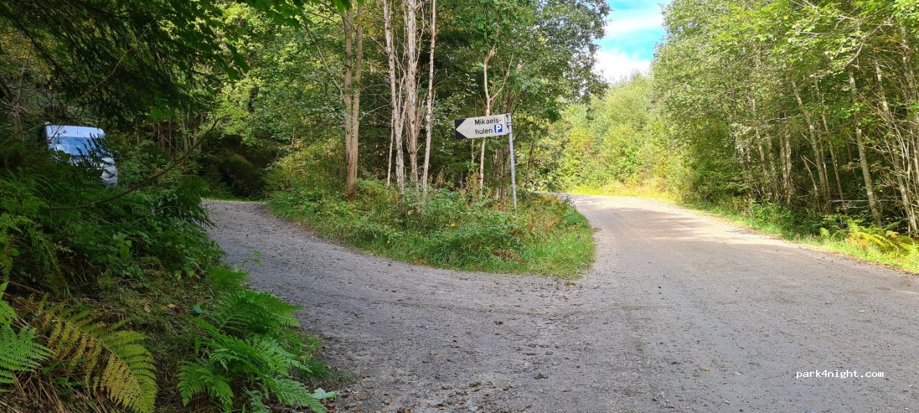 (3720)  - Omdalvegen — foto