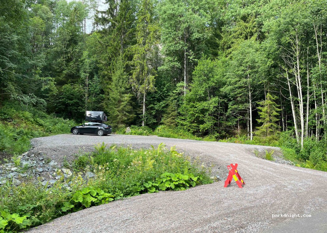 (3720)  - Omdalvegen — foto 2