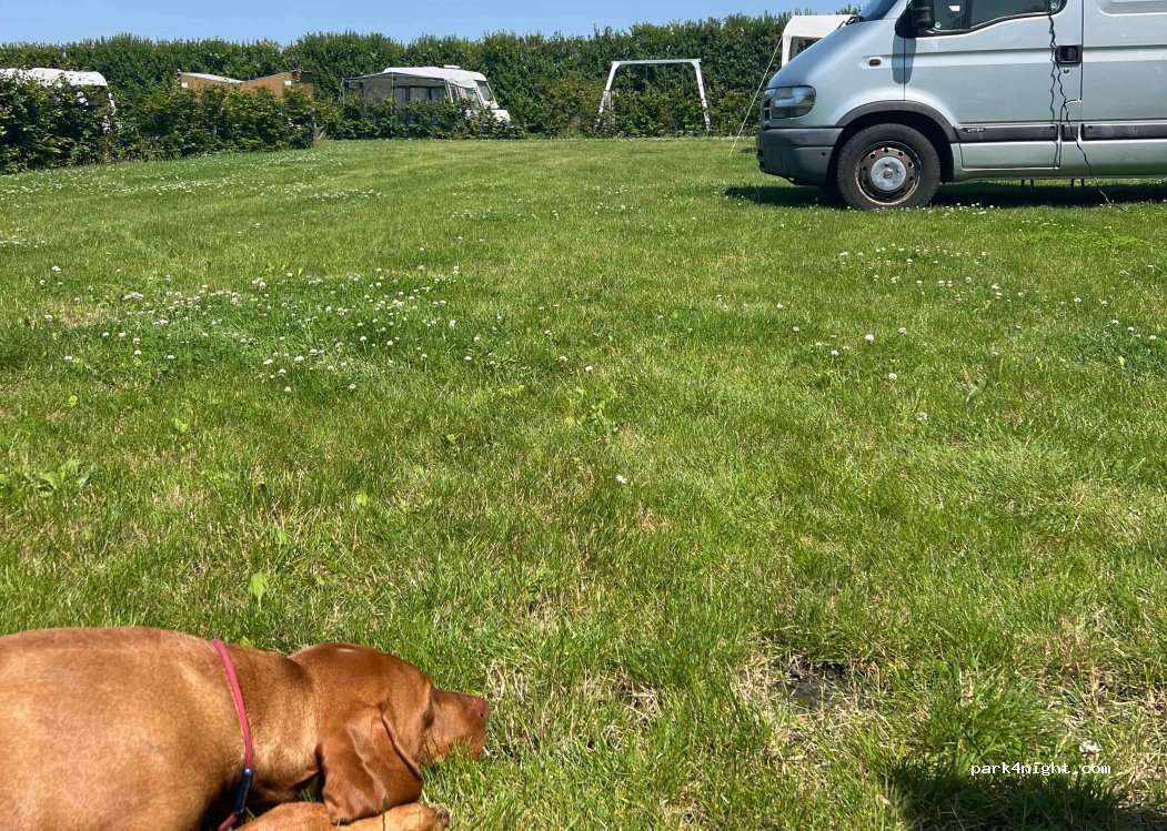 Camping De Groene Strook — foto