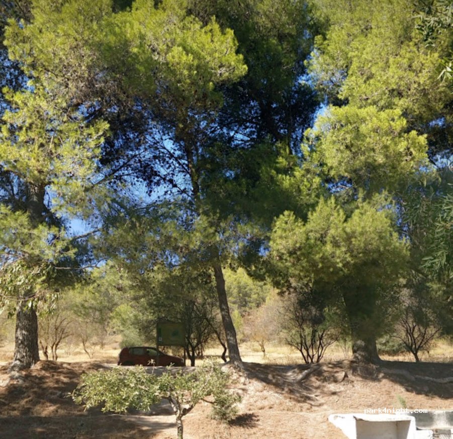 (29420) El Burgo - Pista Fuensanta, los sauces — foto 3