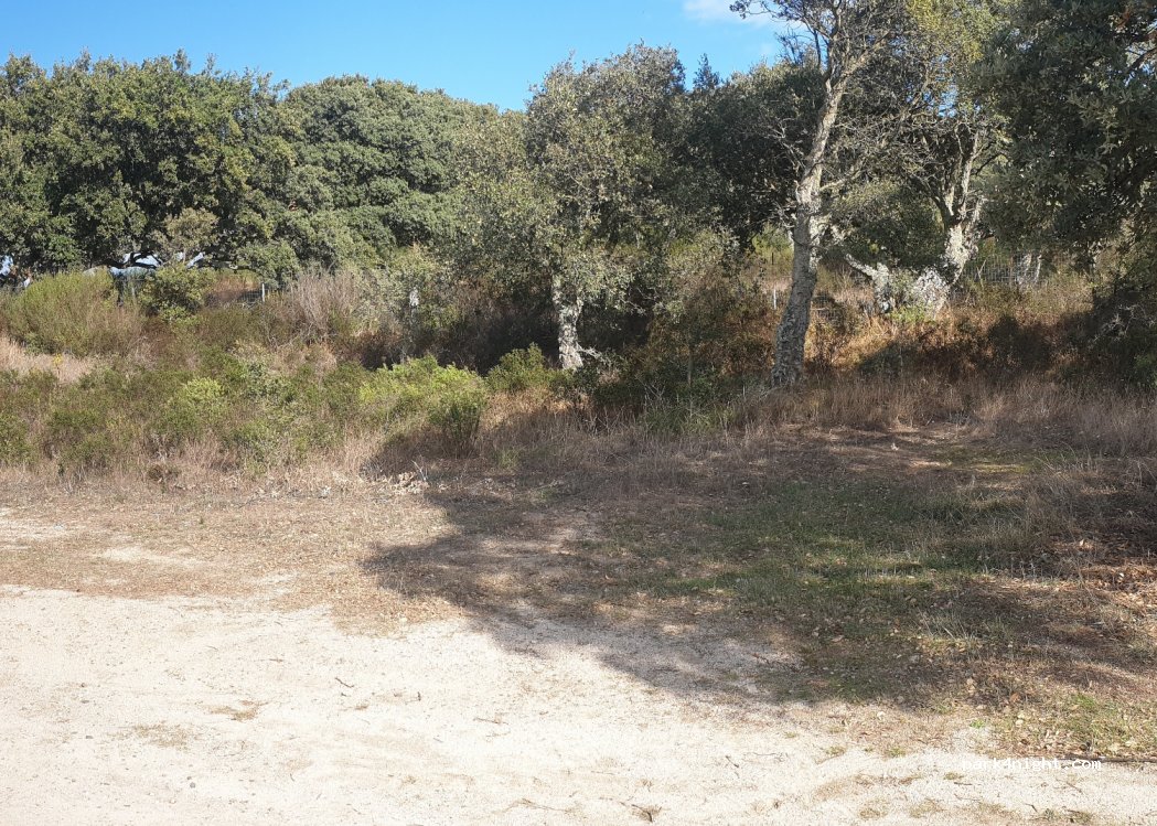 () Aggius - Unnamed Road — foto