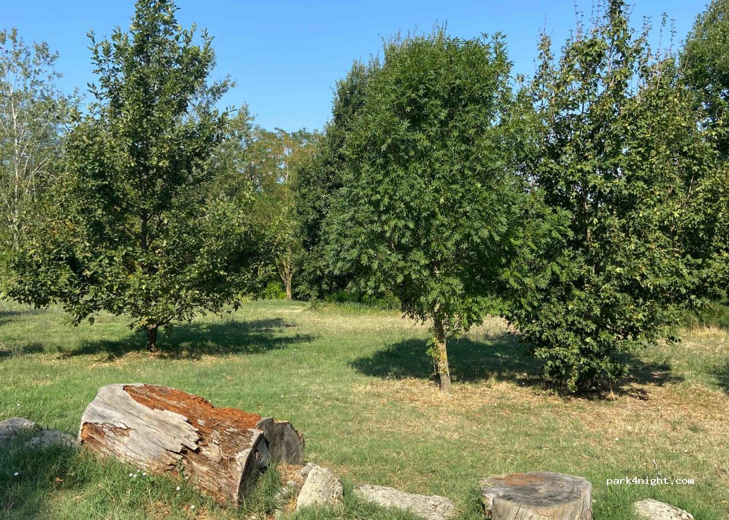 (48018) Faenza - Via Salita di Oriolo — foto 3