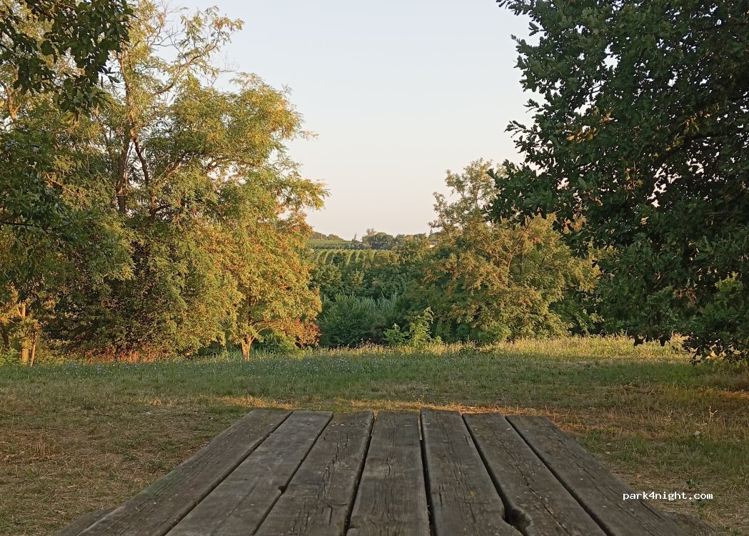 (48018) Faenza - Via Salita di Oriolo — foto 5