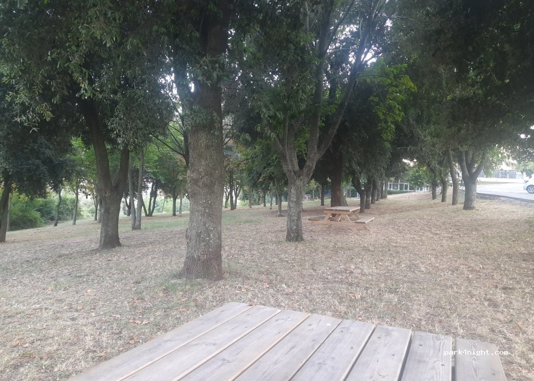 (60021) Camerano - 7 Via Bagacciano — foto 3