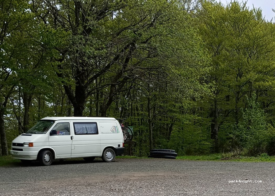 (50060) San Godenzo - Strada Provinciale del Castagno — foto 2
