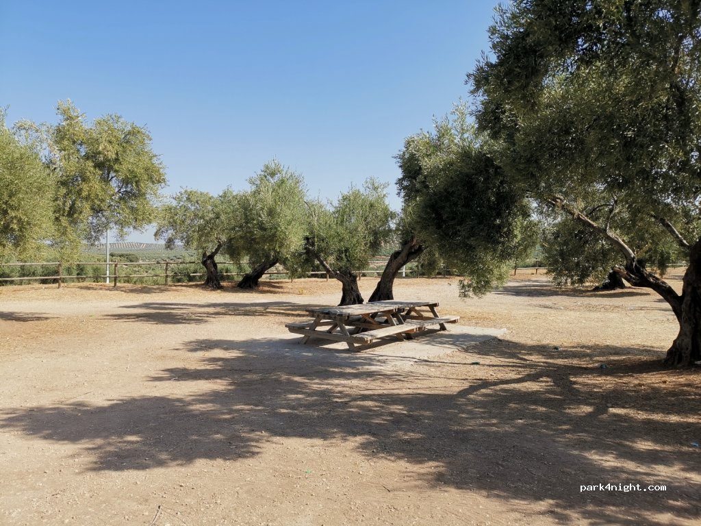 (23650) Torredonjimeno - JV-2121 — foto