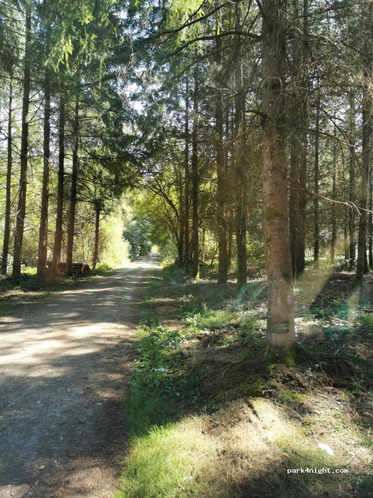 (23120) Saint-Michel-de-Veisse - D7 — foto