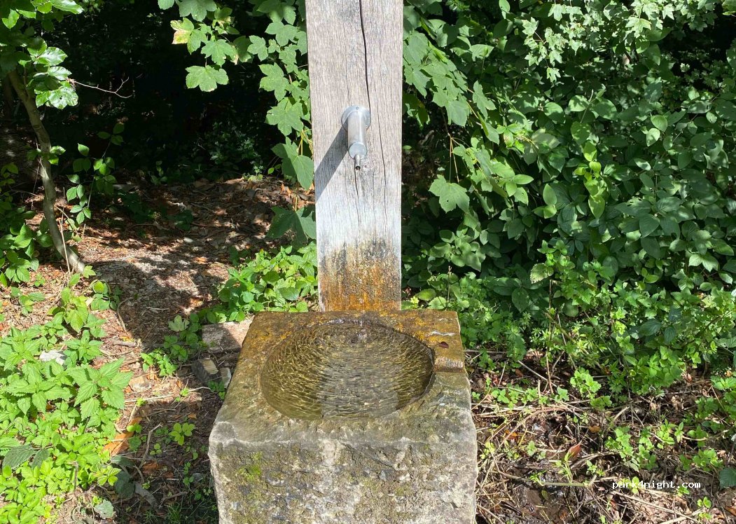 (31840) Hessisch Oldendorf - Zur Försterlaube — foto 3