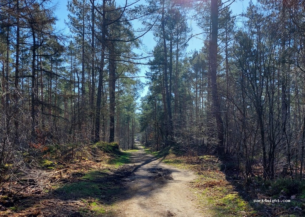 Camperplaats De Zwaan — foto 4