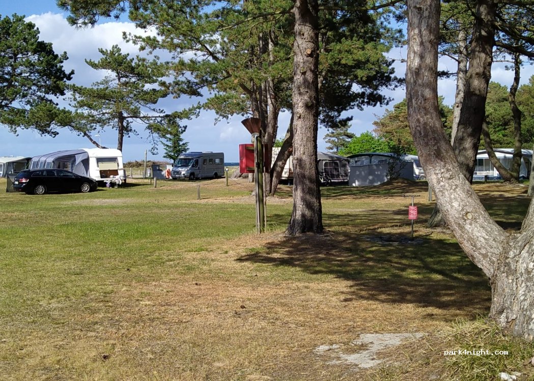 DCU Camping Flyvesandet Strand — foto 2