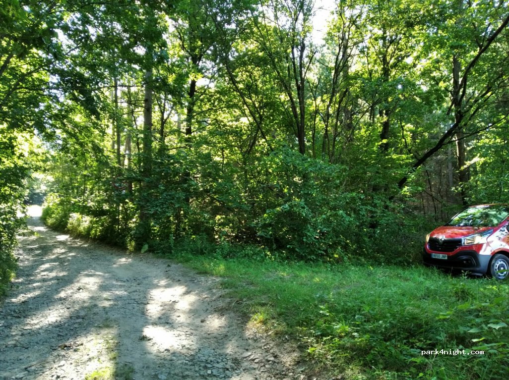 (790 54) Černá Voda - Unnamed Road — foto 2