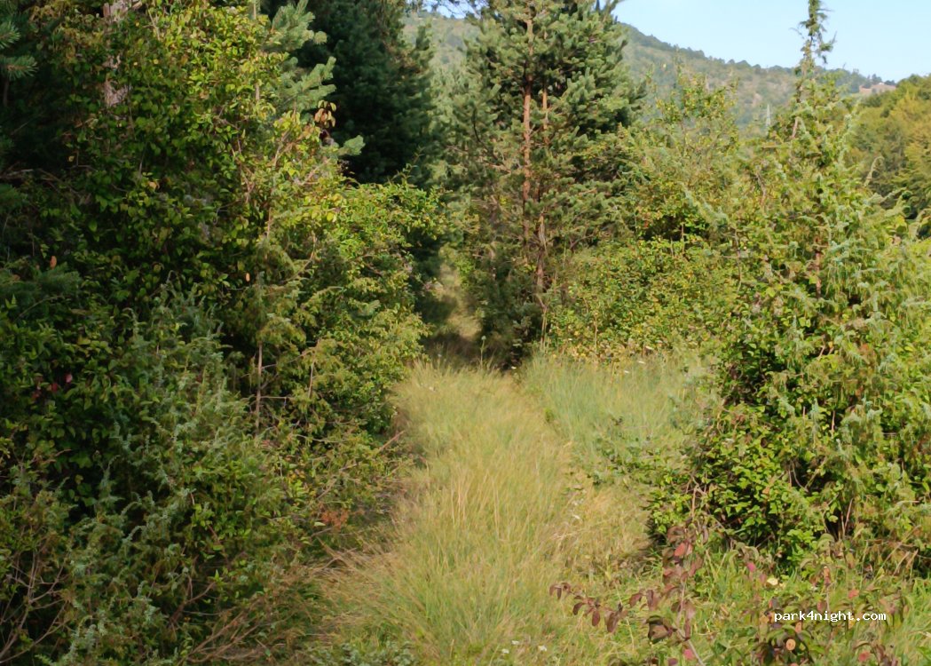 () Negbina - Unnamed Road — foto 4