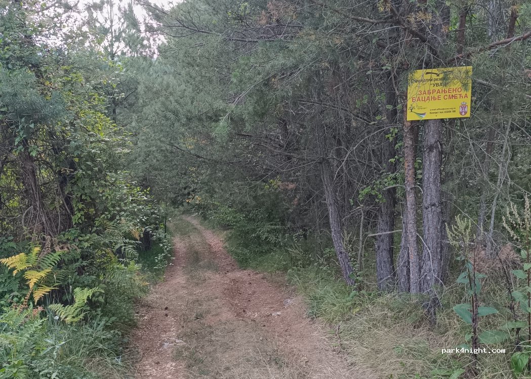 () Negbina - Unnamed Road — foto 5