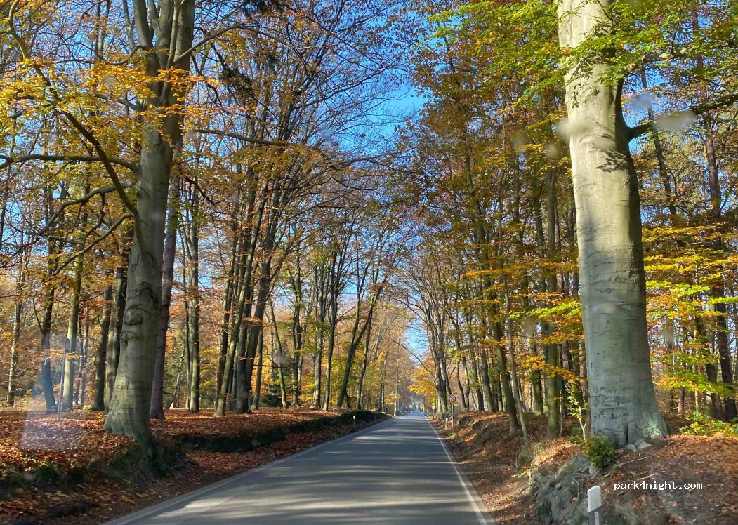 (02943) Weißwasser/Oberlausitz - Brückenweg — foto 3