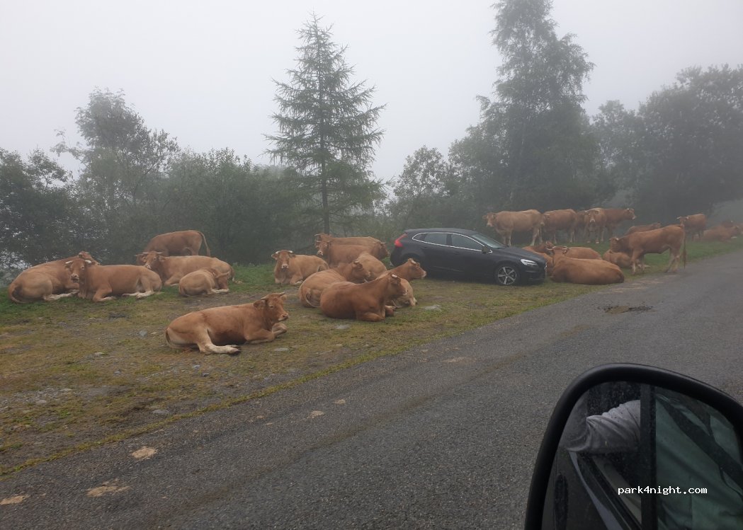 (65110) Cauterets - Route de Cambasque — foto