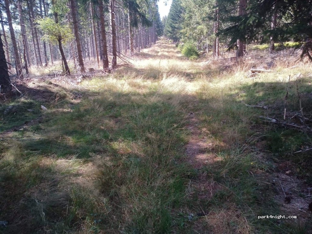 (48600) Saint-Paul-le-Froid - Unnamed Road — foto
