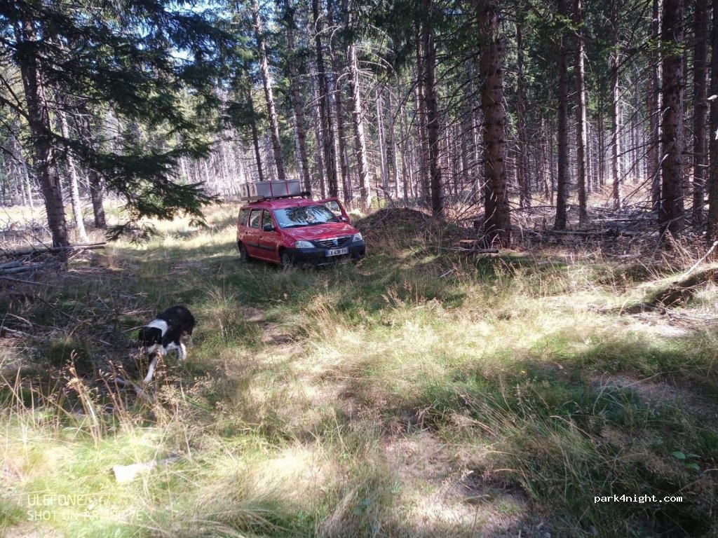 (48600) Saint-Paul-le-Froid - Unnamed Road — foto 2