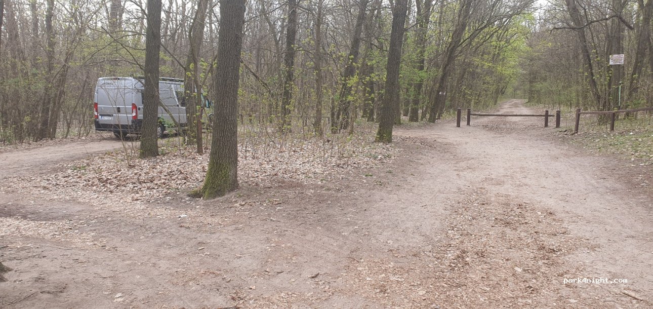 (8143) Sárszentmihály - Pentelei parkerdő — foto 3
