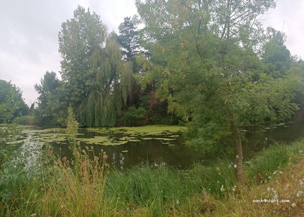 (49630) Mazé-Milon - Pré de la Cure — foto 4