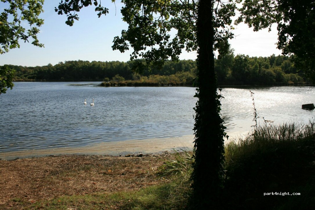 (49350) Gennes - La Croix Joreau — foto