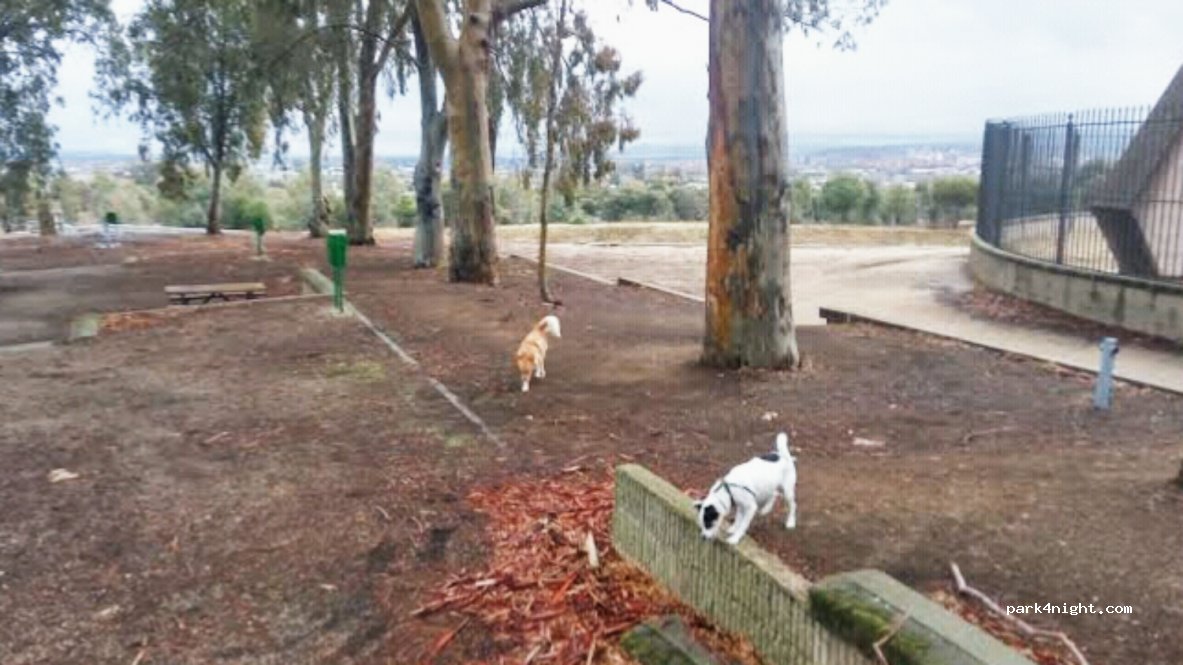(45600) Talavera de la Reina - — foto 3