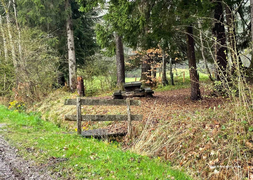 (1623) Semsales - 90 Route du Niremont — foto 2