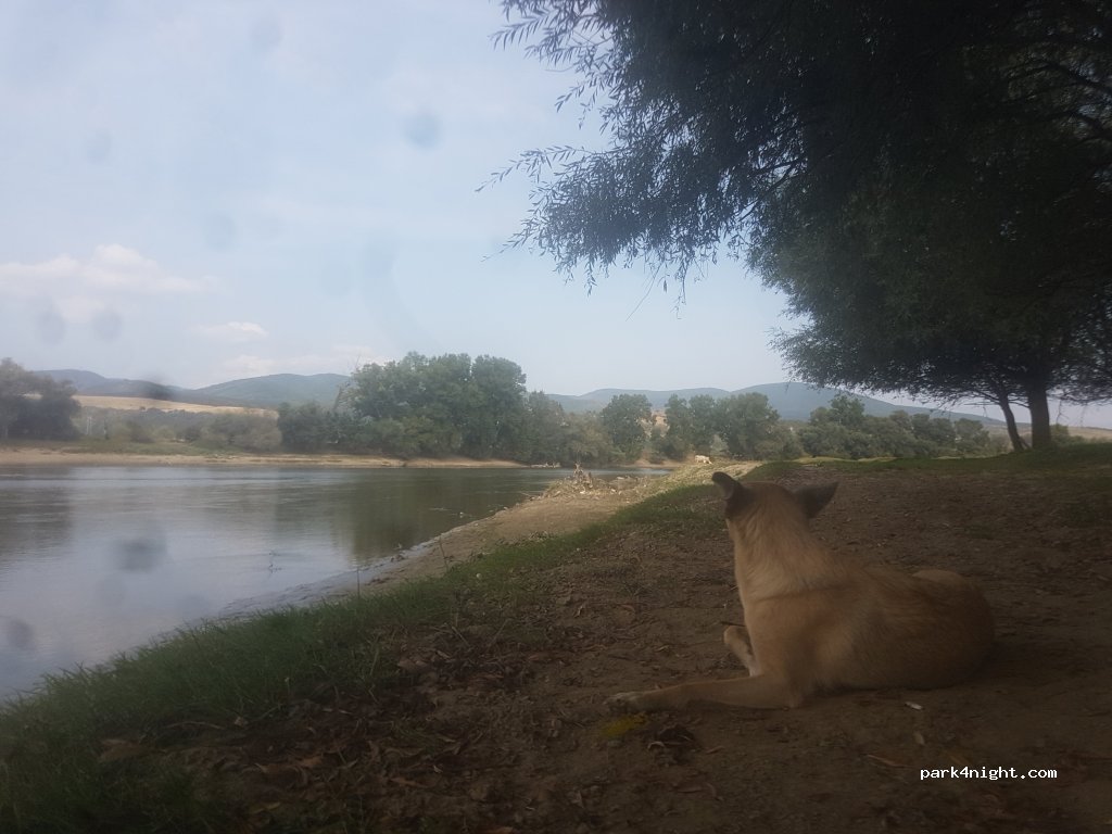 (337496) Pricaz - Unnamed Road — foto