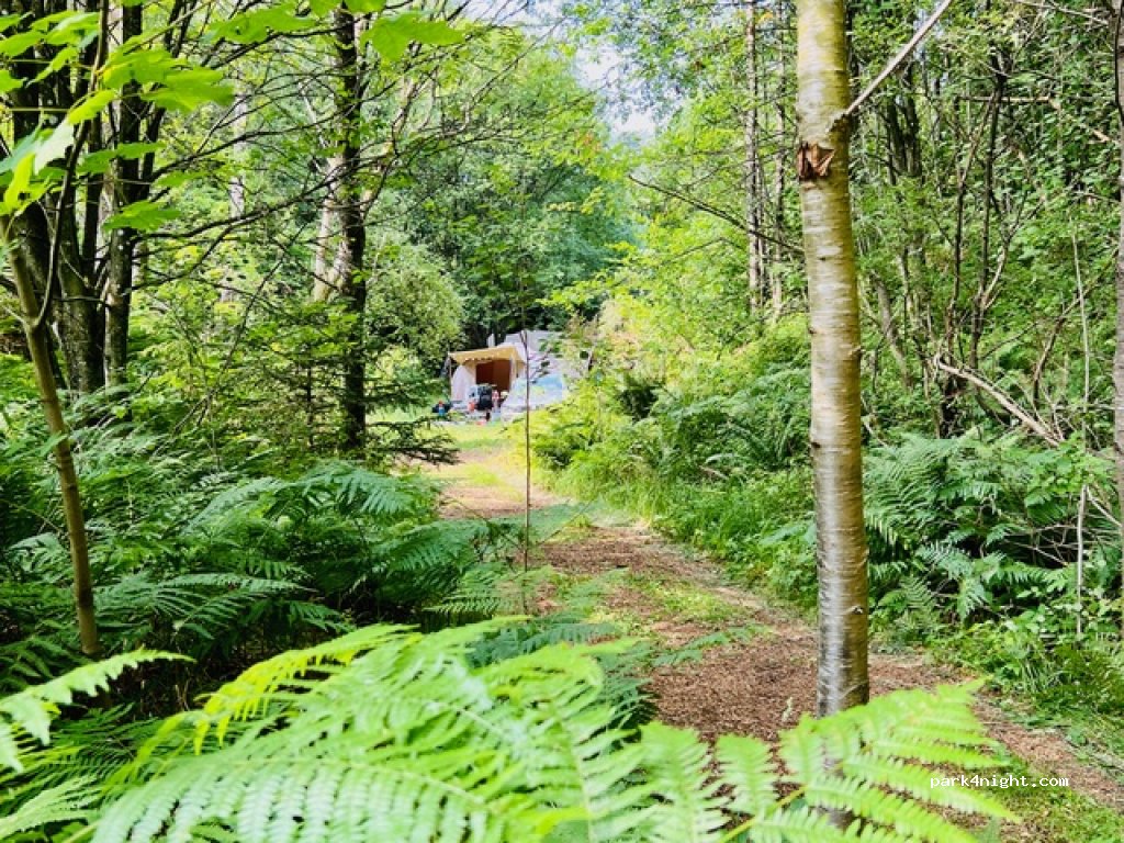 Tolne Camping — foto 2