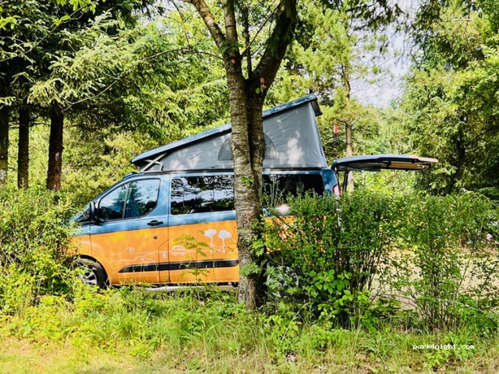 Tolne Camping — foto 3