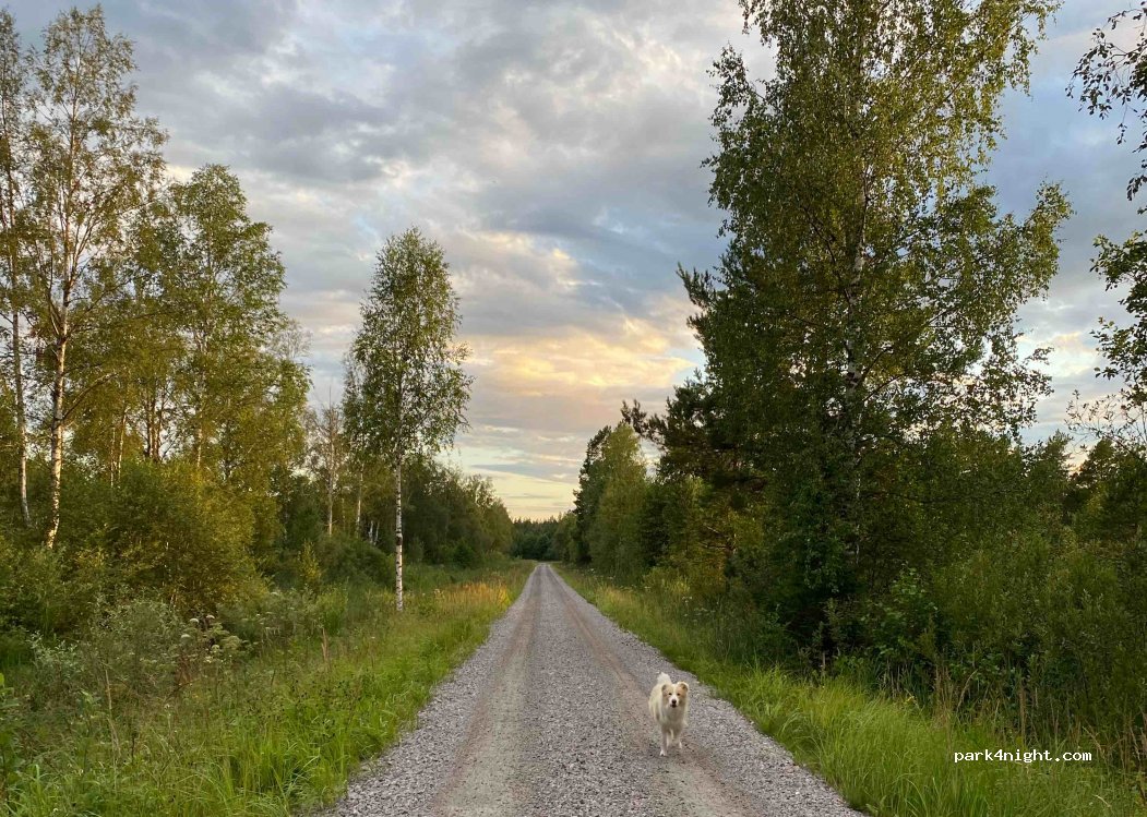 (805 92)  - Älgsjövägen — foto 3