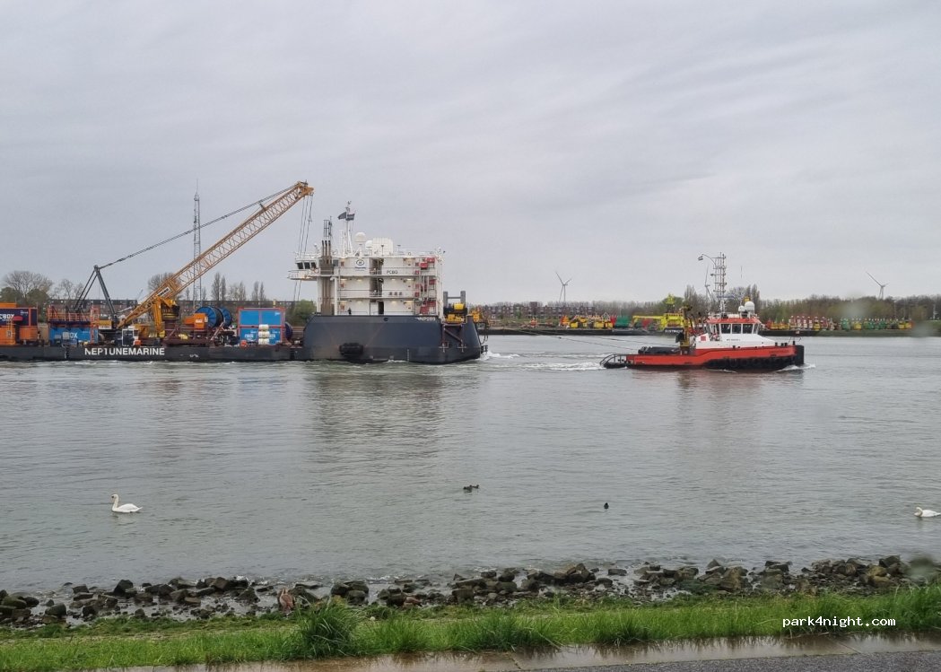 Camperplaats haven Maassluis — foto 5