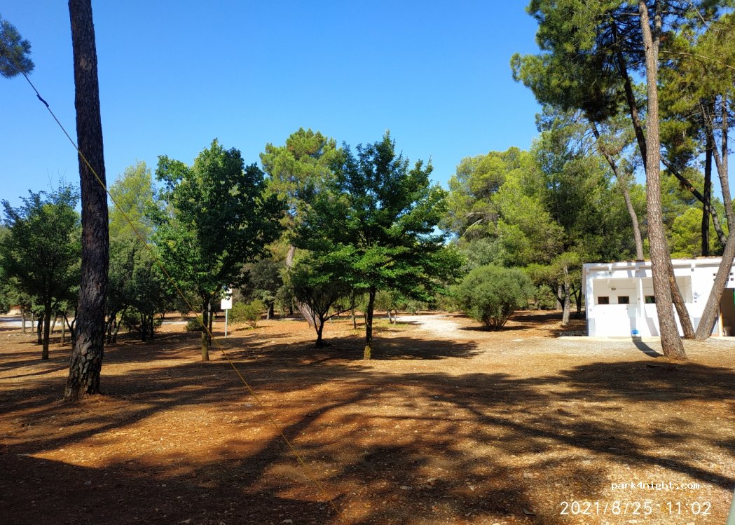 Camping la Bolera — foto 2