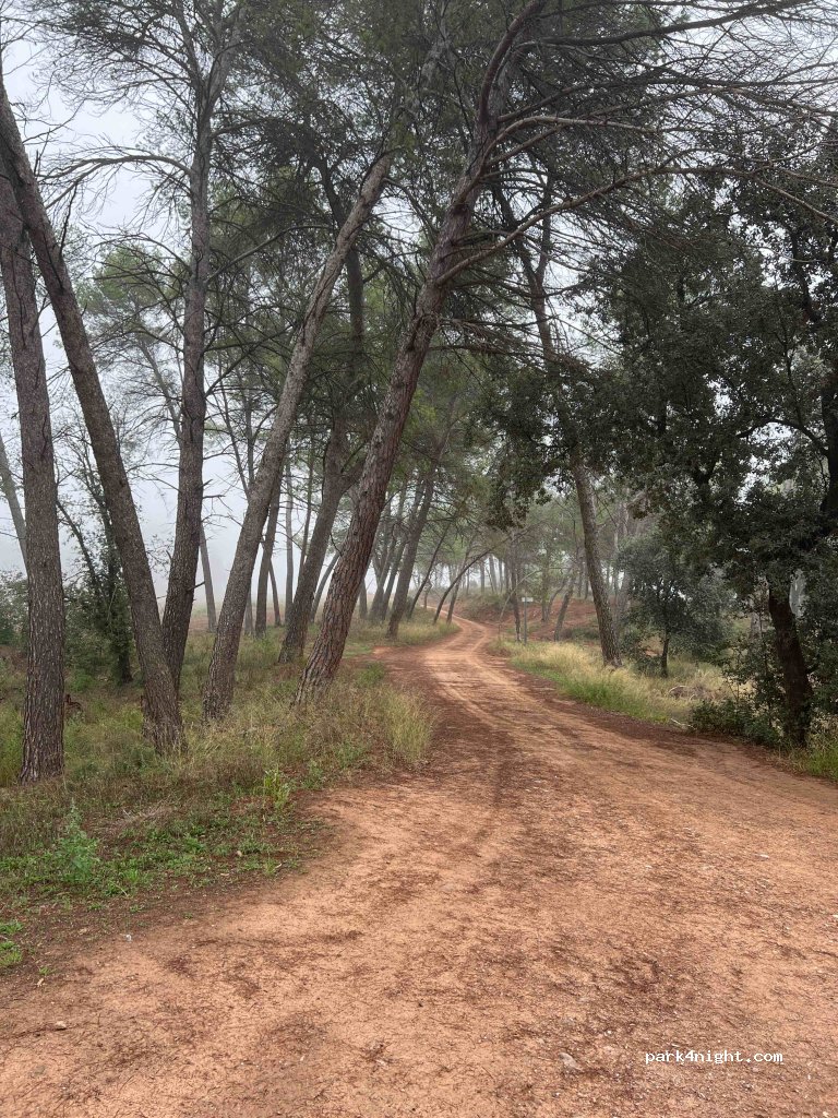 (08250) Sant Joan de Vilatorrada - Unnamed Road — foto 2