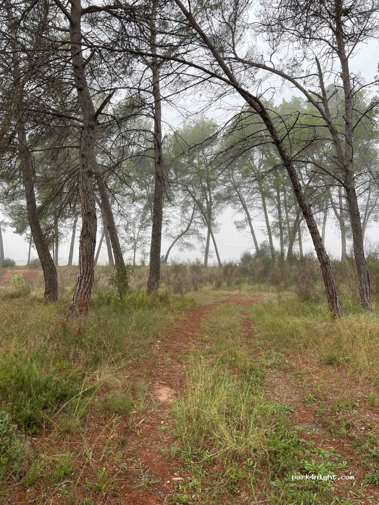 (08250) Sant Joan de Vilatorrada - Unnamed Road — foto 3